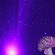 AstroMushrooms