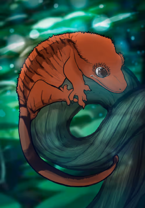 Item #23546686719633506406095790157609111049750244779414073605876924805437368303617 Media