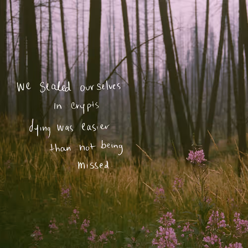 Item #94522315458066235172106531625010025952964555546866048956582119503189726199809 Media