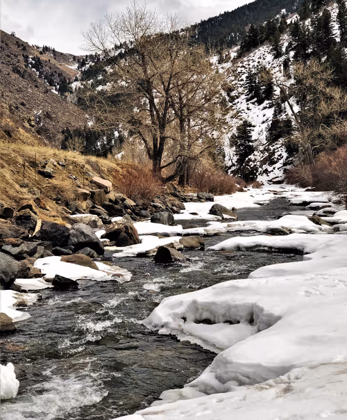 Item #60286361363657250857601775030637471218171117852543341295073303957975915823105 Media