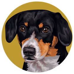 54766349128176429303044182404049584425310907481653304317570414010097169596417