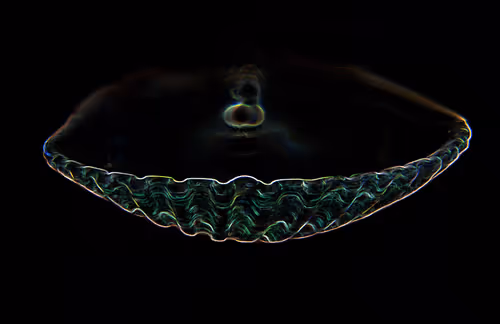 Item #112357457195153001497773786489249045252427376720708510106941895559535843606529 Media