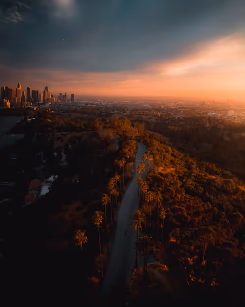 Item #182518665829308893136074239767788672486362925866200732254418935213914587137 Media