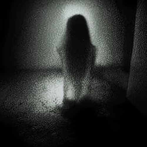 Item #83765047036448450780968789197739813455156920670207005846087896917699027009541 Media