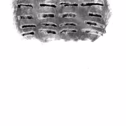 symbol #1