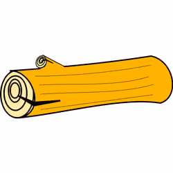 Log #11