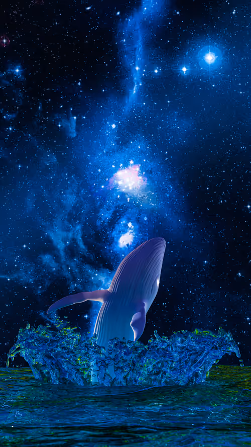 Item #34407012467013264369072826680281558624243883765584913843852975246365989797889 Media