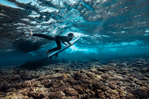 Item #99926930229538675438917090631619995362212113699001151744757174477125339578468 Media