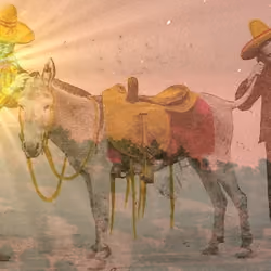 Tequilla Sunrise