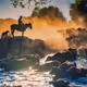 The Sunset Shepherd