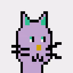 Cat #307