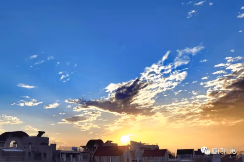 Untitled Collection #442306286