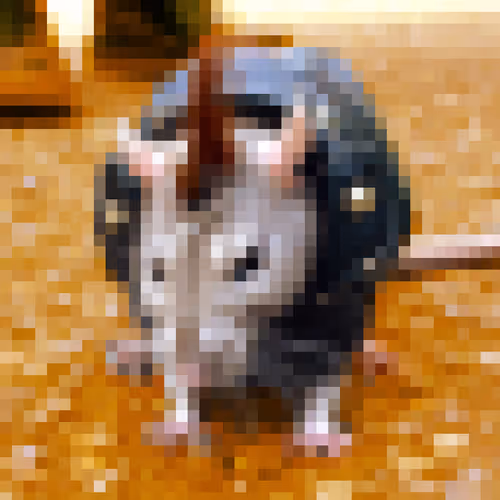 Item #54454380677249840748926722717072301200377530719065436340930837018840431329300 Media