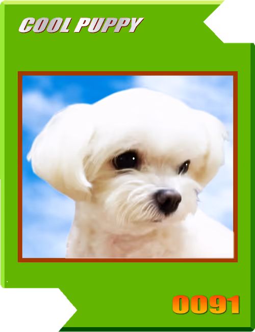 Item #21477548388787063266658748687199700189937005018840532589754440459090063785985 Media