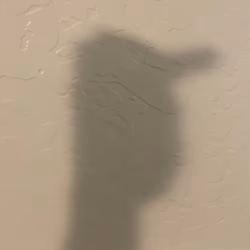 Item #85906662622493889269525054120390254351192400408264024505621426708722191695873 Media