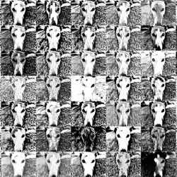 113233535435930126246803406212525192330824104616936385021501681203411549159425