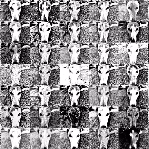 113233535435930126246803406212525192330824104616936385021501681203411549159425