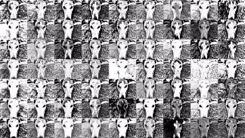 Item #113233535435930126246803406212525192330824104616936385021501681203411549159425 Media