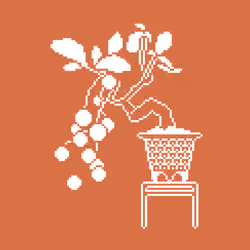 bonsai #7