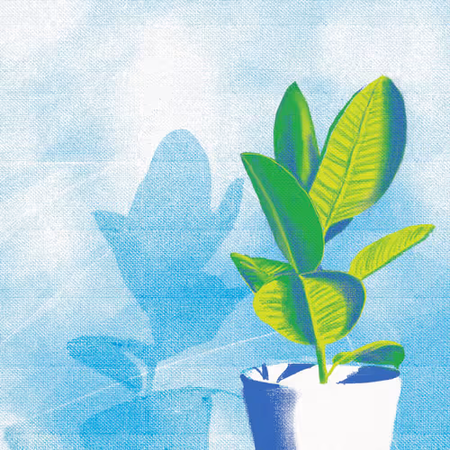 Item #58901363374605366488533273019738672735789139938195676889694349580272071081985 Media