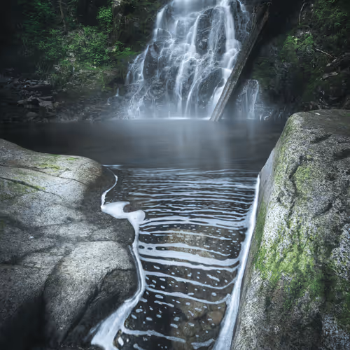 Bonus Drops From Tristan Todd