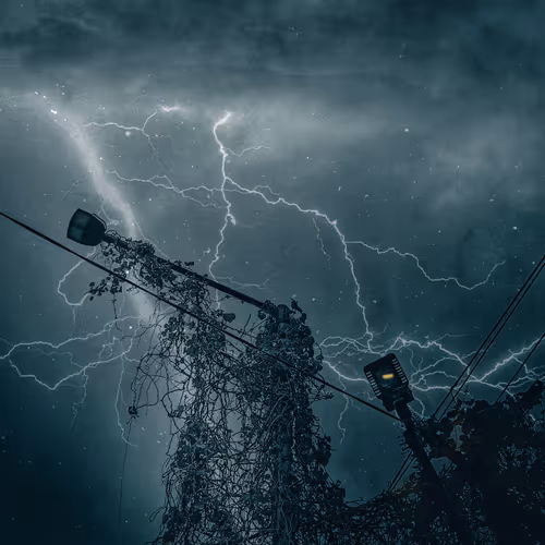 Untitled Collection #112878824