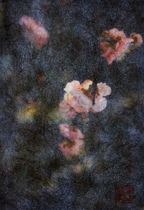 Item #17817558194044330547845455566334835478189962784375818300622327556961225146369 Media