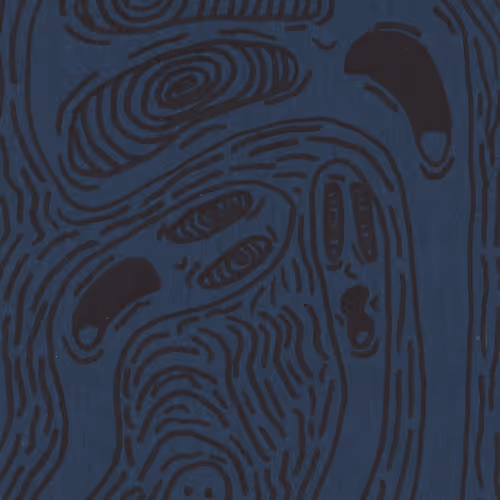 77468507481395724508481176638850243890612218898909526184016454216570382581761