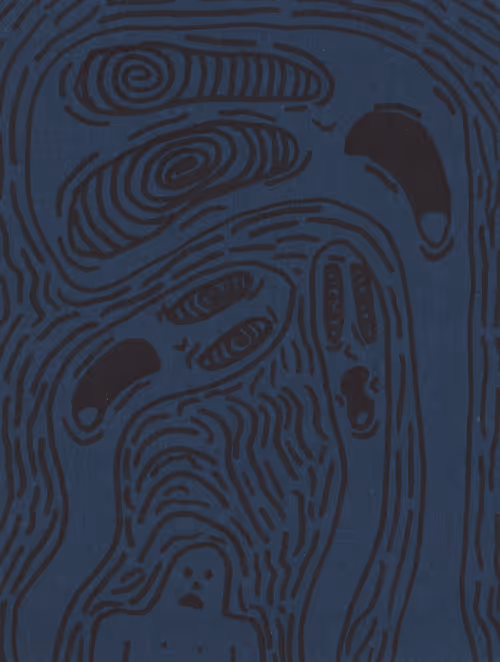 Item #77468507481395724508481176638850243890612218898909526184016454216570382581761 Media