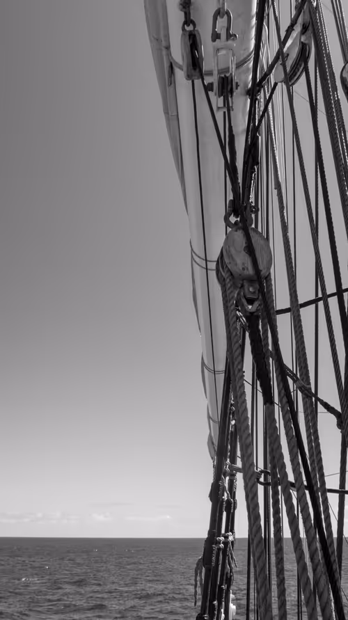 Item #34110083671509346653453586160941404072216291014688644284046702350499768696833 Media