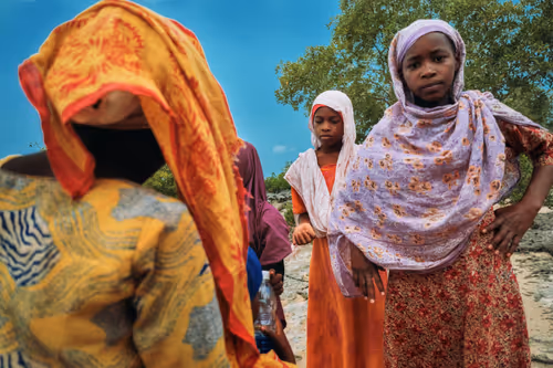 Item #81057615018985245267668409952199543064735075507553677475786031542228263895041 Media