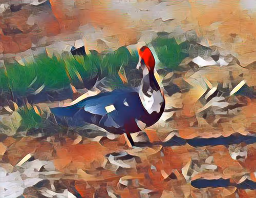 Item #81269833061274051173789884418282317830923519221172308843662164525251538452481 Media