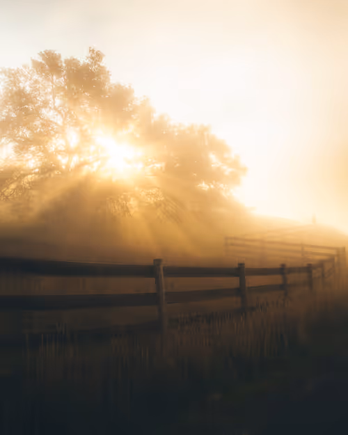 Item #99379921276153973634104125152908526548510783699959858376338453586499220799489 Media