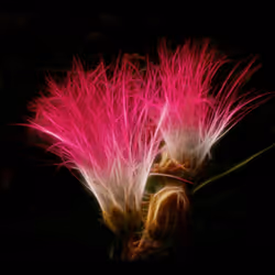 112000724350228495474711911108130364376243231564197861893917076713887498250