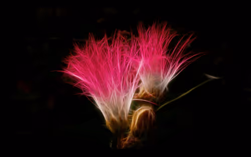 112000724350228495474711911108130364376243231564197861893917076713887498250