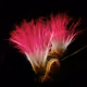 112000724350228495474711911108130364376243231564197861893917076713887498250