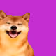 35132558306005666945989237054941300939245987658462459495312623051465195257857