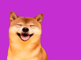 Item #35132558306005666945989237054941300939245987658462459495312623051465195257857 Media