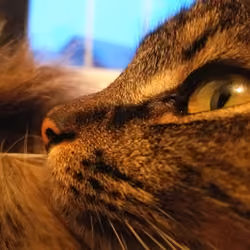 Jericho's Profile