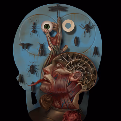 78387355767106075555817674479869153604965170826212749129477193117214043013121