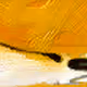 106079609846887631202978041983377568946839594207354719908059040236735618351105