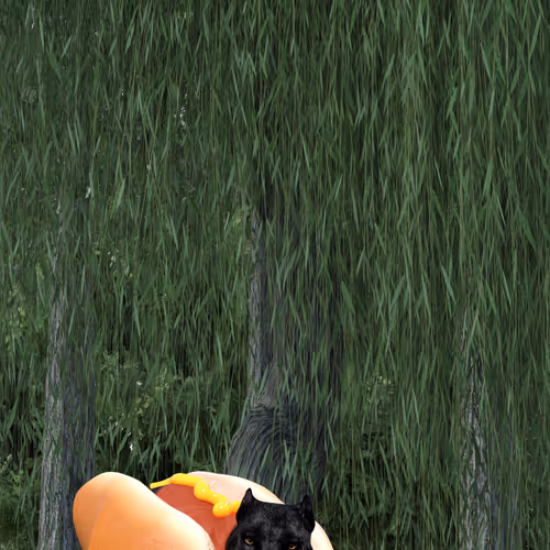 Dawgsout