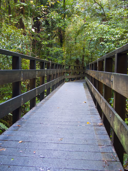 Item #42005270844264954442005096859517419770807969244416947009835700206927488221185 Media