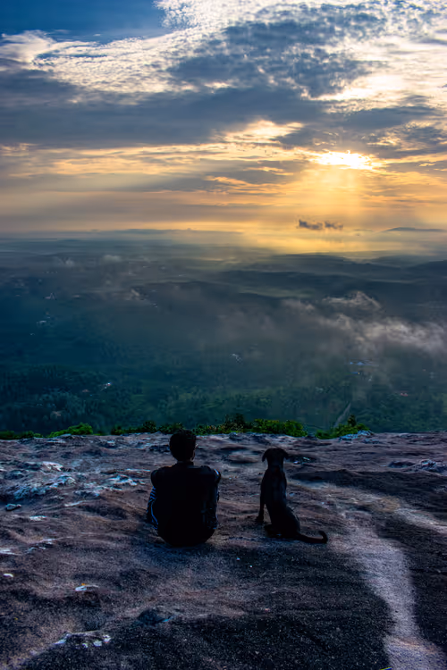 Item #36145732516804139016380361544373269319947941032678267894410350698472625143809 Media