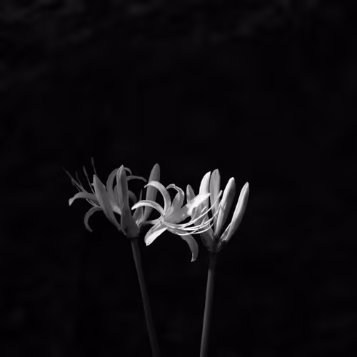 59967187426684840308125755480147414158284983471661826941997092789862942113793