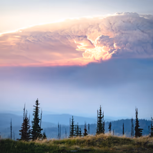 55396979496544417469792883121952566872796951856674190010796140026948373970945