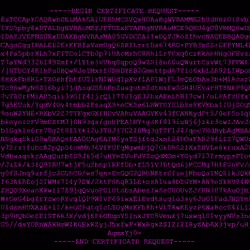 CryptoCSR #10