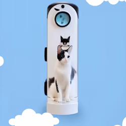 CloudCats #24