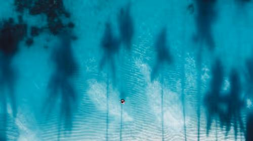 Item #78064220502355505726869985793984720926867023015257308531581829181292203212801 Media