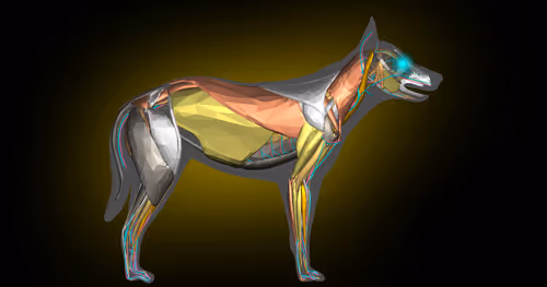 Item #85616260800140778956581373911837214761326127764924071871020287172733791371265 Media